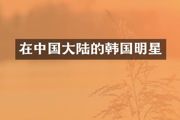 在中国大陆的韩国明星