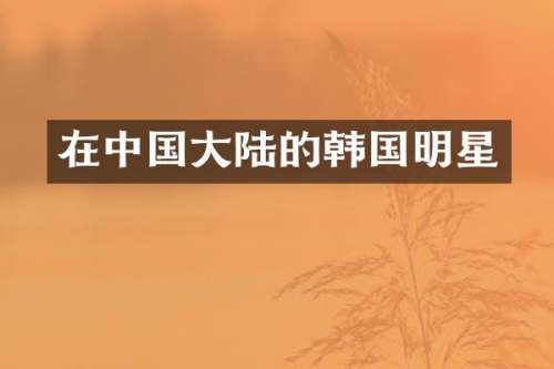 在中国大陆的韩国明星