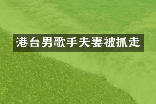 港台男歌手夫妻被抓走