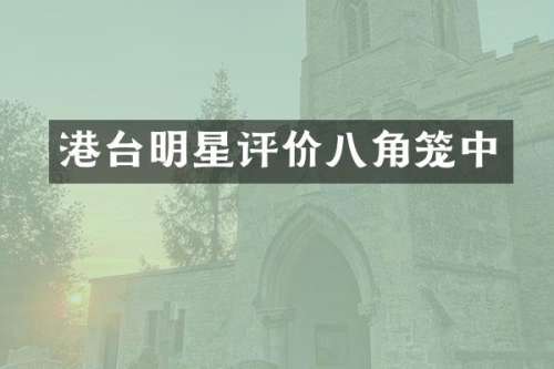 港台明星评价八角笼中