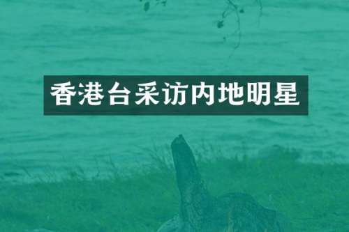 香港台采访内地明星