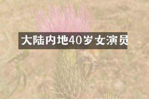 大陆内地40岁女演员