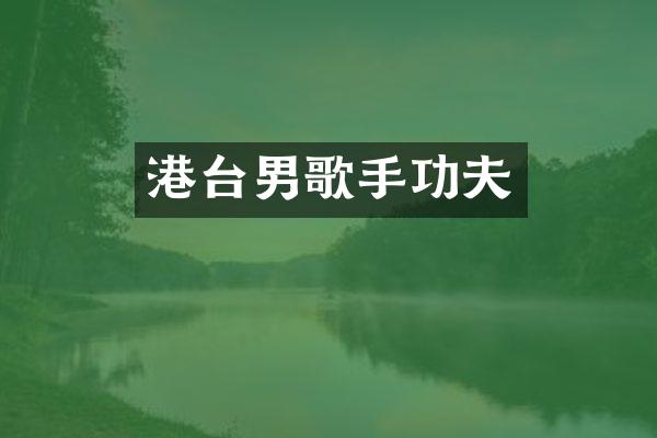 港台男歌手功夫