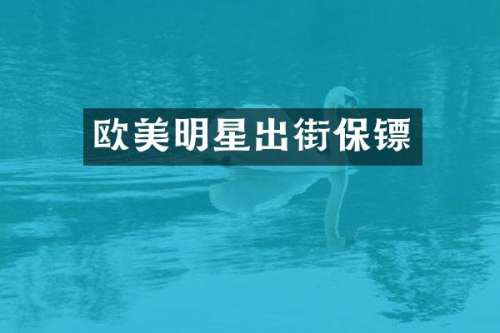 欧美明星出街保镖