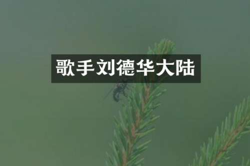 歌手刘德华大陆