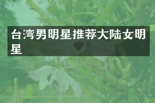 台湾男明星推荐大陆女明星