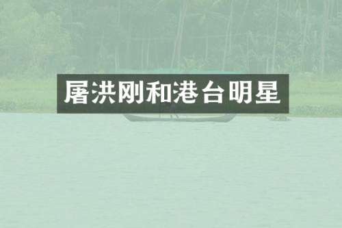 屠洪刚和港台明星