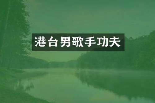 港台男歌手功夫