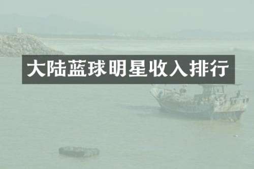 大陆蓝球明星收入排行