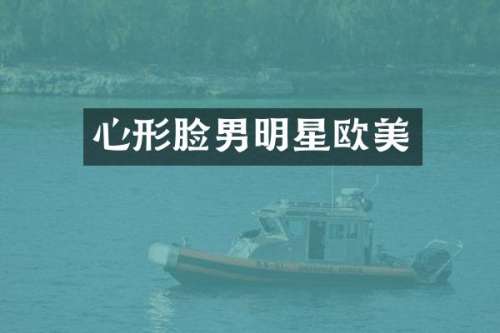心形脸男明星欧美