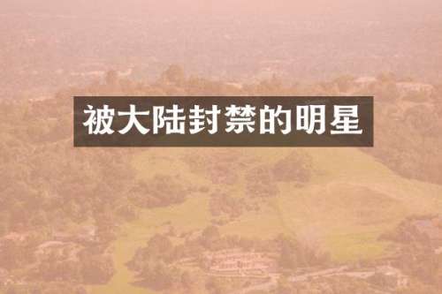 被大陆封禁的明星