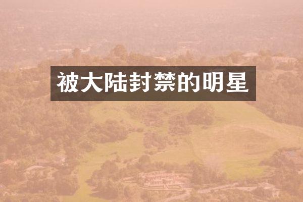 被大陆封禁的明星