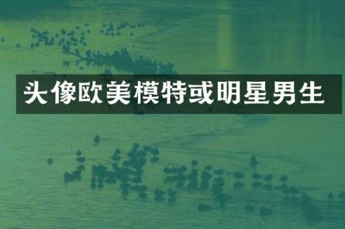 头像欧美模特或明星男生