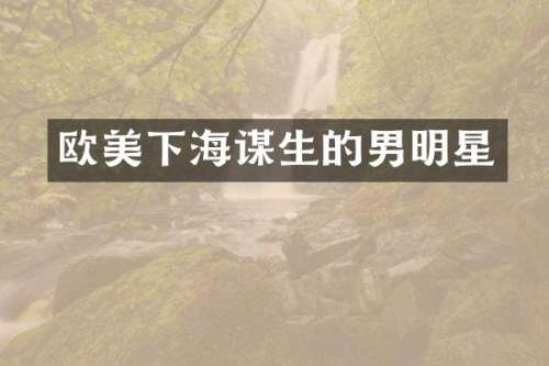欧美下海谋生的男明星