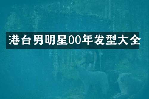 港台男明星00年发型大全