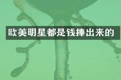 欧美明星都是钱捧出来的