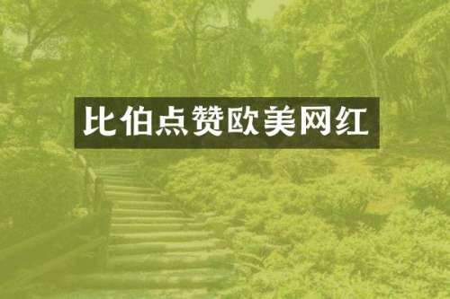 比伯点赞欧美网红