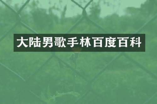 大陆男歌手林百度百科