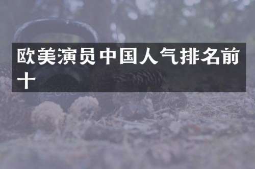 欧美演员中国人气排名前十
