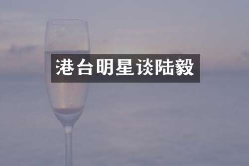 港台明星谈陆毅
