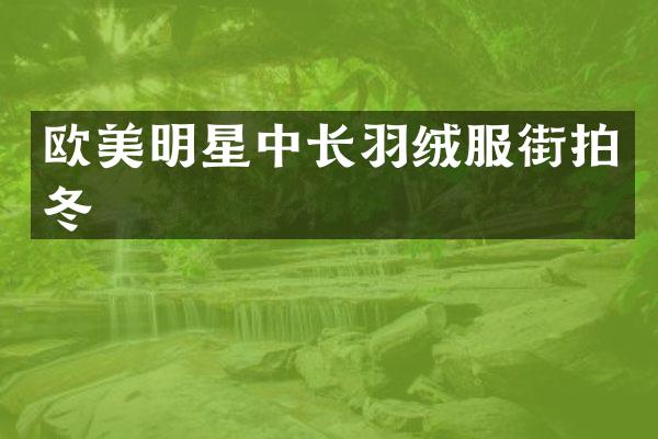 欧美明星中长羽绒服街拍冬
