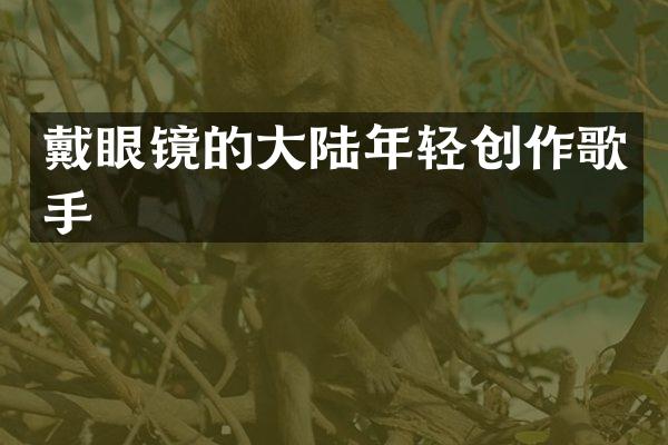 戴眼镜的大陆年轻创作歌手