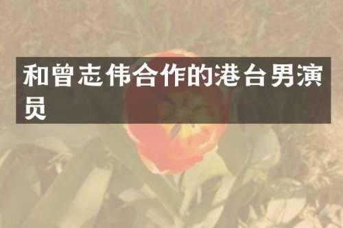 和曾志伟合作的港台男演员