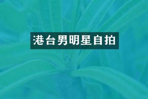 港台男明星自拍