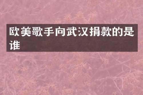欧美歌手向武汉捐款的是谁