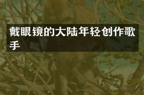 戴眼镜的大陆年轻创作歌手