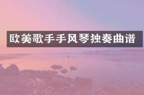 欧美歌手手风琴独奏曲谱