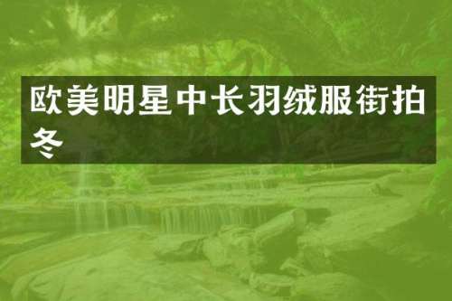 欧美明星中长羽绒服街拍冬