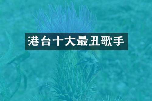 港台十大最丑歌手