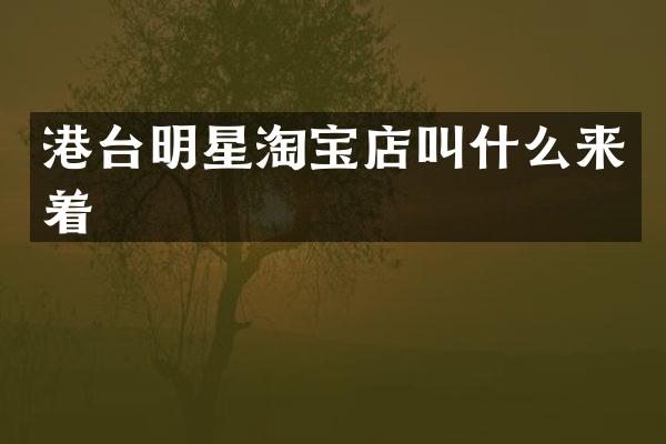 港台明星淘宝店叫什么来着