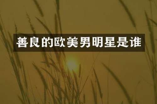 善良的欧美男明星是谁