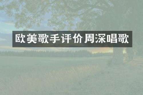 欧美歌手评价唱歌