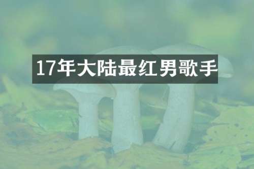 17年大陆最红男歌手