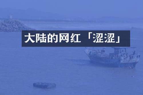 大陆的网红「涩涩」