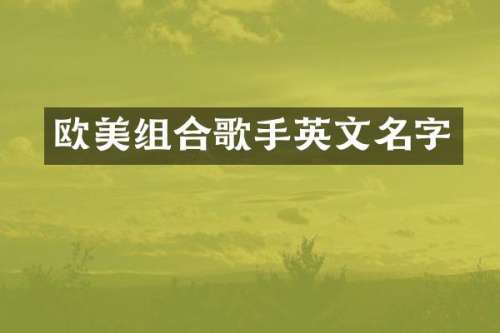 欧美组合歌手英文名字