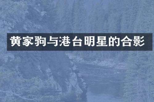 黄家驹与港台明星的合影