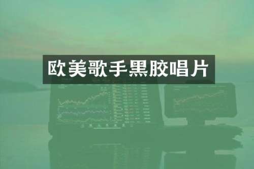 欧美歌手黑胶唱片