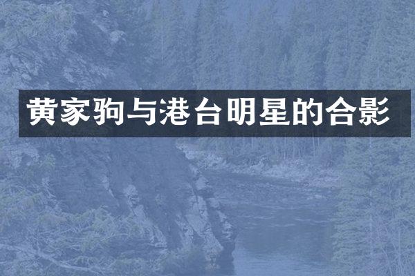 黄家驹与港台明星的合影
