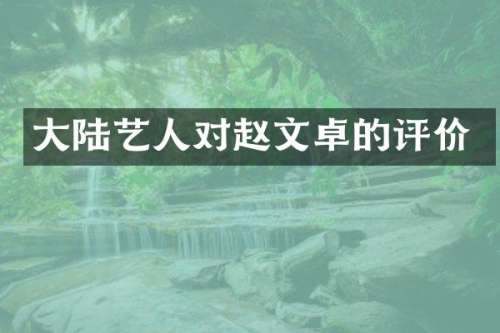 大陆艺人对赵文卓的评价