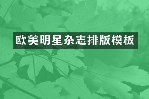 欧美明星杂志排版模板