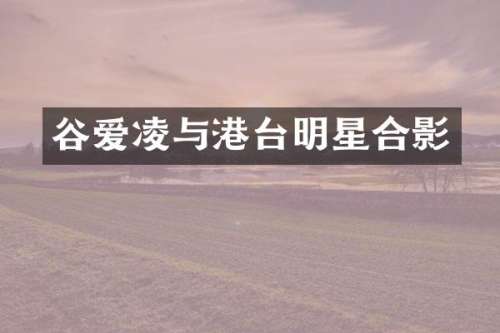 谷爱凌与港台明星合影