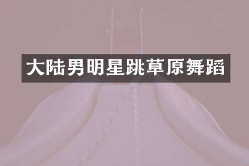 大陆男明星跳草原舞蹈