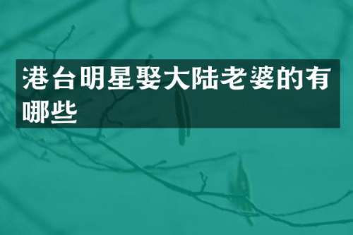 港台明星娶大陆老婆的有哪些