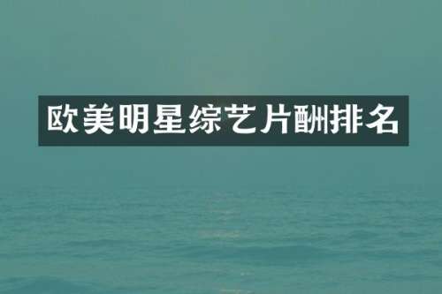 欧美明星综艺片酬排名