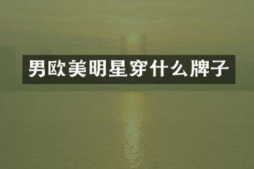 男欧美明星穿什么牌子