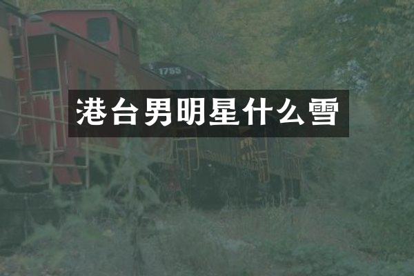 港台男明星什么雪